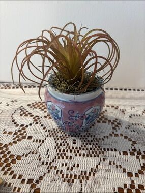 Pink Floral Mini Ceramic Planter with Faux Tillandsia